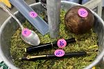 Sale Photo Thumbnail #12