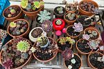 Sale Photo Thumbnail #3