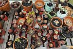 Sale Photo Thumbnail #4