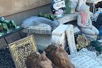 Sale Photo Thumbnail #28