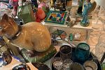 Sale Photo Thumbnail #11