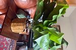 Sale Photo Thumbnail #23