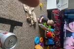 Sale Photo Thumbnail #21