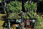 Sale Photo Thumbnail #4