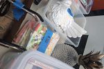 Sale Photo Thumbnail #12
