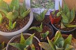 Sale Photo Thumbnail #35