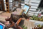 Sale Photo Thumbnail #13
