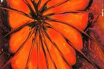 Sale Photo Thumbnail #22