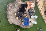 Sale Photo Thumbnail #11