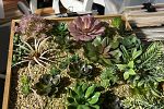 Sale Photo Thumbnail #21