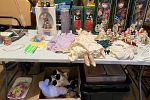 Sale Photo Thumbnail #3
