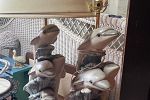 Sale Photo Thumbnail #26