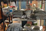 Sale Photo Thumbnail #42