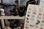 Sale Photo Thumbnail #12