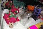 Sale Photo Thumbnail #7