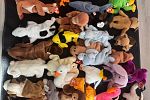 Sale Photo Thumbnail #18