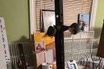 Sale Photo Thumbnail #11