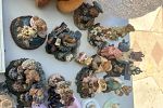 Sale Photo Thumbnail #23