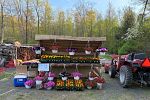 Sale Photo Thumbnail #5