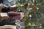 Sale Photo Thumbnail #21
