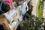 Sale Photo Thumbnail #18