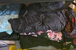 Sale Photo Thumbnail #17