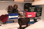 Sale Photo Thumbnail #31