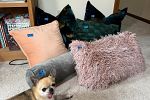 Sale Photo Thumbnail #14