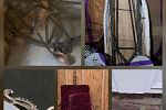 Sale Photo Thumbnail #16