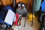 Sale Photo Thumbnail #19