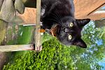 Sale Photo Thumbnail #49