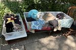 Sale Photo Thumbnail #12