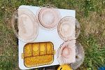 Sale Photo Thumbnail #20
