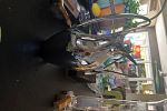 Sale Photo Thumbnail #41