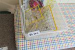 Sale Photo Thumbnail #46
