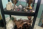 Sale Photo Thumbnail #12