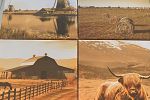 Sale Photo Thumbnail #3