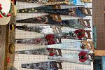 Sale Photo Thumbnail #17