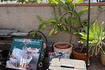 Sale Photo Thumbnail #16