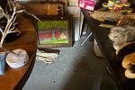 Sale Photo Thumbnail #16