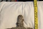 Sale Photo Thumbnail #25