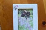 Sale Photo Thumbnail #34