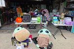 Sale Photo Thumbnail #6