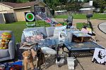 Sale Photo Thumbnail #11