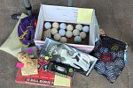 Sale Photo Thumbnail #11