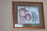 Sale Photo Thumbnail #17