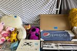 Sale Photo Thumbnail #10