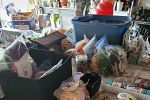 Sale Photo Thumbnail #13
