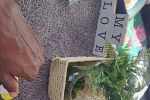 Sale Photo Thumbnail #42