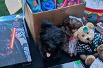 Sale Photo Thumbnail #2